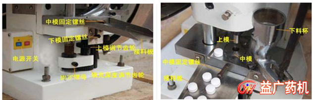 TDP-5單沖壓片機細節圖